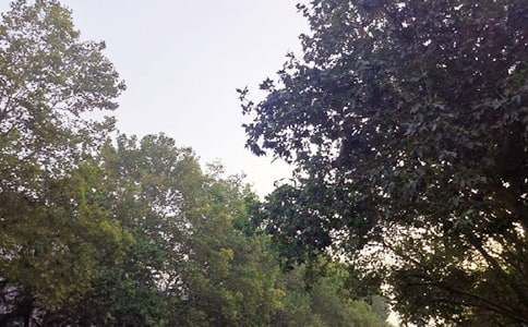 2026���������簲QQ�ʺ������75��