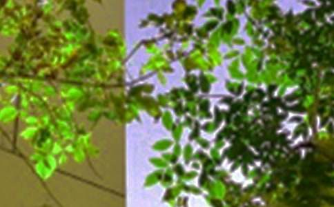 经典个性午安祝福语(通用50句)