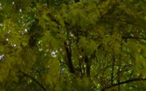 2026��Ψ�����簲QQ�ʺ�������50��