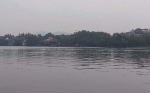 实用的西湖写景作文汇总10篇