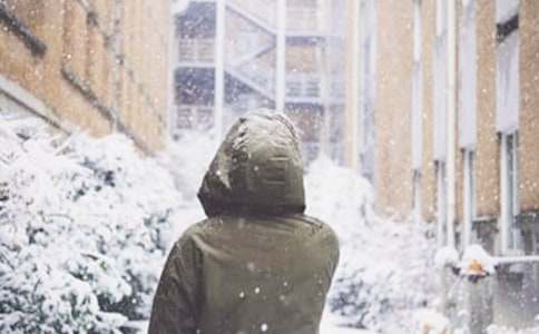 ��ѩ���ռǻ���10ƪ