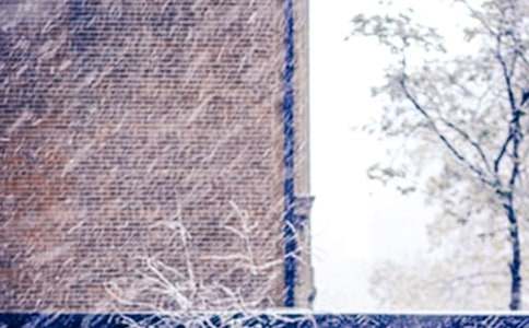 ���꼶��ѩ�����ĺϼ�ʮƪ