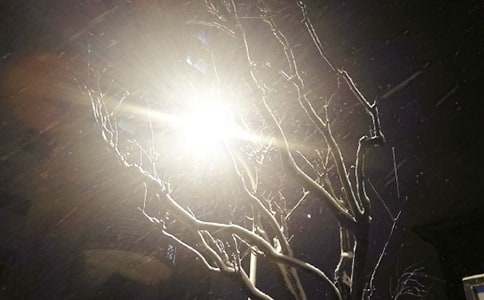 ��ѡ���꼶��ѩ�����ĺϼ�10ƪ