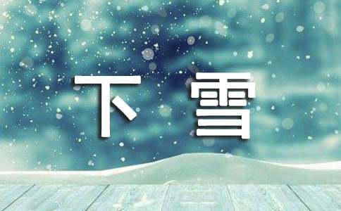下雪了二年级作文
