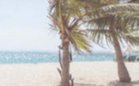 �ļ��������