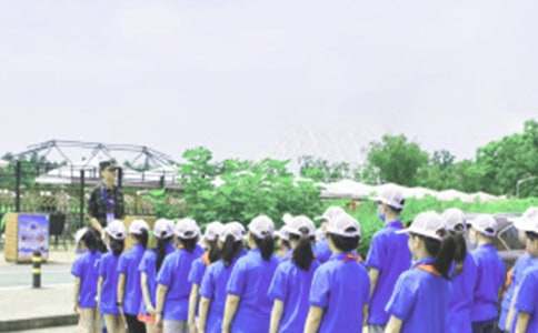 ����Ӫ��ܽ�