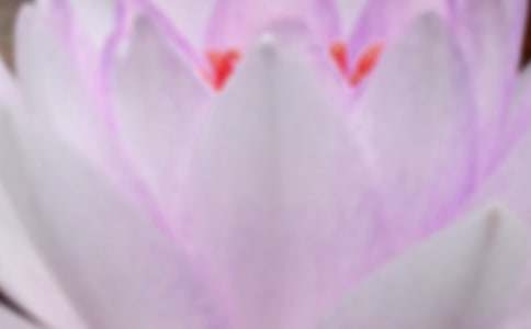 ��������Ȧ�İ�(15ƪ)