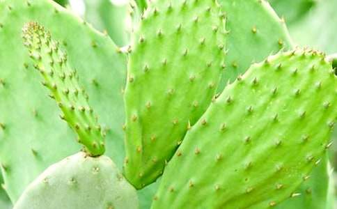 �۲�����������200�֣�ͨ��3ƪ��