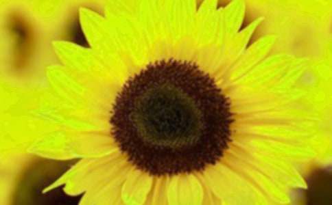 �й����տ����꼶���ĺϼ�10ƪ