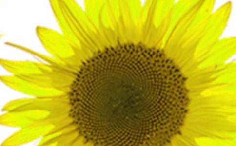 ���տ����꼶����