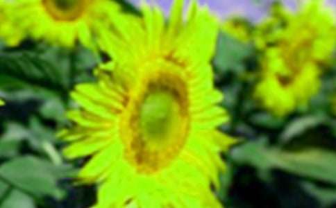 ���տ�������200�֣���ѡ15ƪ��