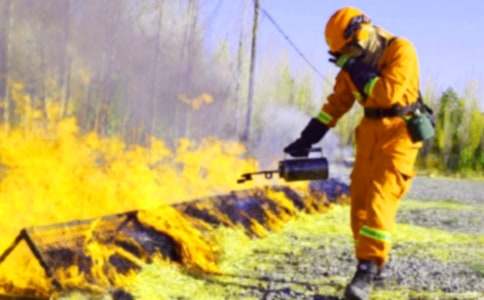 ������ȫ��Ӧ��Ԥ��