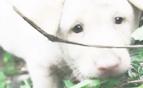 ����ϲ��С��������300��7ƪ