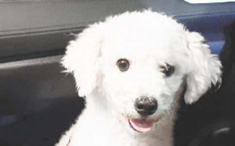 С��������400����ƪ