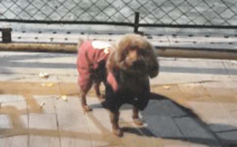 �����š�С��������400����ƪ