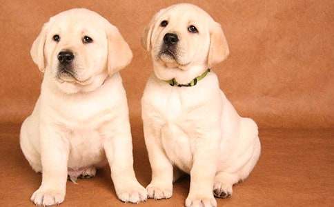 ʵ�õĿɰ���С������400�ּ�����ƪ