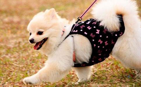 �����š���ϲ��С��������300��9ƪ