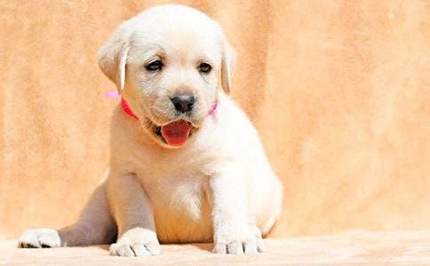 ����Ʒ��С��������400��3ƪ