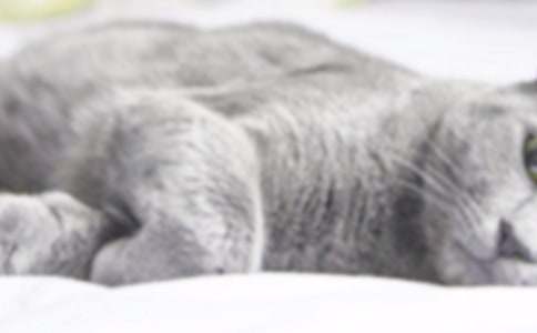 ��������������Сè������400��4ƪ