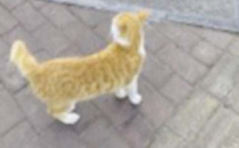 дСè������400�ּ�����ƪ