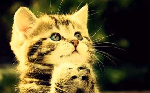 дСè������400�ֻ���8ƪ