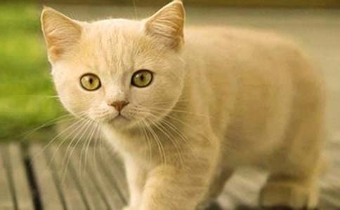 ��������Сè������400�ֺϼ�8ƪ