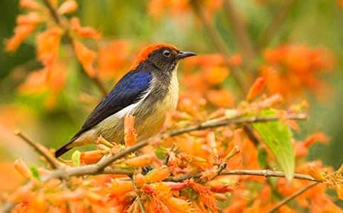 ʵ�õ�С���������Ļ�����ƪ