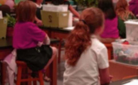 Сѧ����ҵ����ʵʩ�������ģ���ѡ9ƪ��