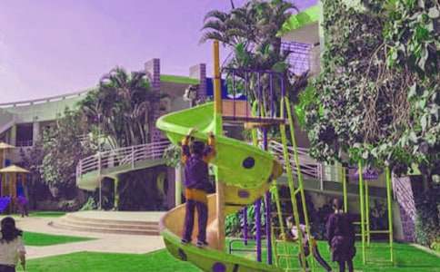 (精华)小学生周记15篇