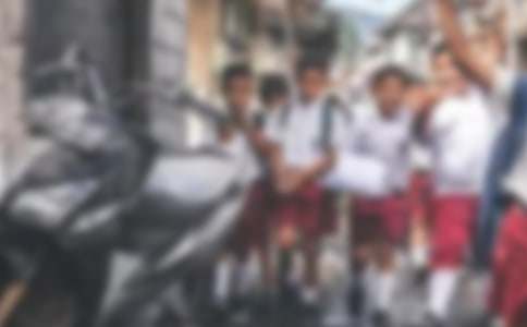 (合集)小学生寒假日记