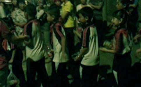 (����)Сѧ�������ҽ���15ƪ