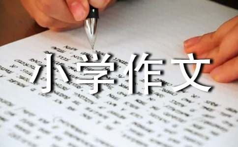 乐趣的小学作文300字四篇