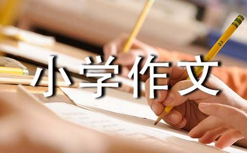 小学作文300字【集合4篇】