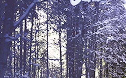 2026��Сѩ�����ʺ���ժ¼32��