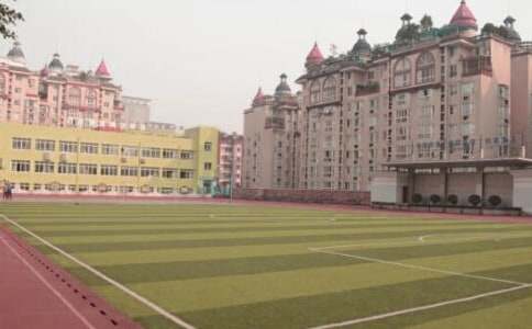 家乡文化进校园活动总结