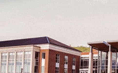 ѧԺ���ջ�ܽ�