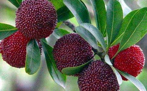 ��÷����300��