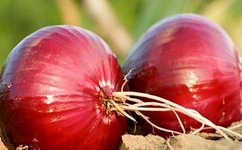 ���ͷ���ռǶ���з���