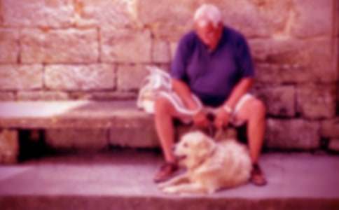 �����š�үү����600����ƪ