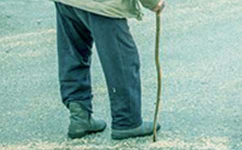 爷爷你真好初三周记