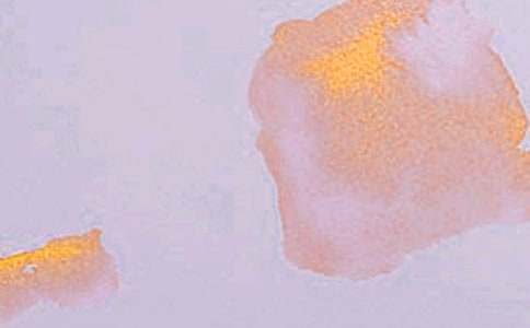 中班艺术活动方案凉鞋