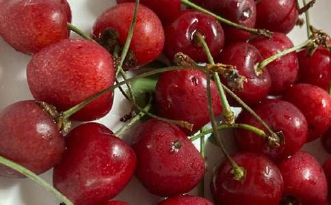 �����⹫�ǿ�ӣ�������и�10ƪ