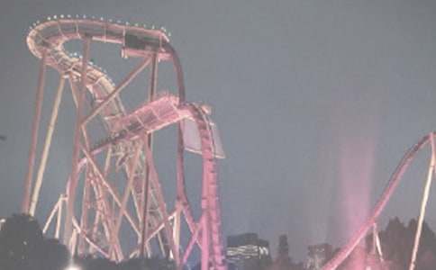 ����԰�ռǻ���4ƪ