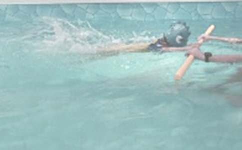 【推荐】游泳日记范文汇总6篇