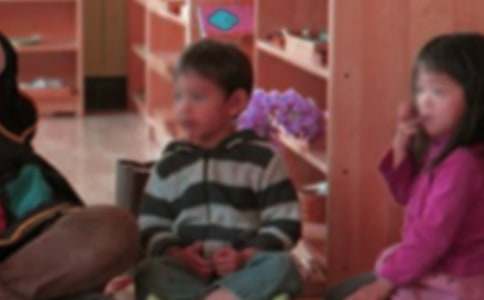 ʵ�õ��׶�԰���л�ܽ᷶�ļ���5ƪ