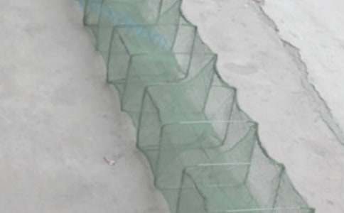 一张破渔网的自述作文800字