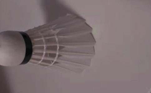 ����ë�����꼶����15ƪ