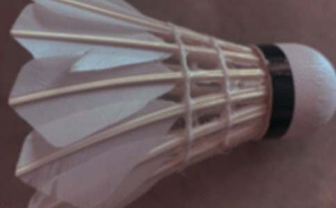 ���ڴ���ë����ռǷ���8ƪ