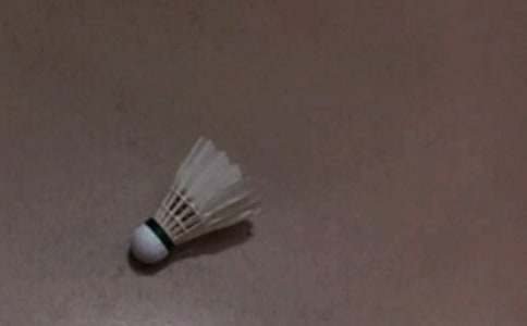 ��ë�������ܽ�