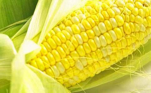 掰玉米叙事作文